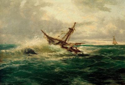 Shipwreck by Unbekannt