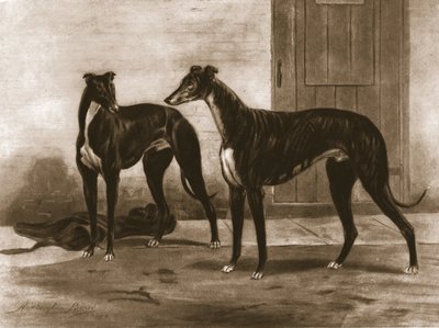 Simonian and Fullerton, c1891, 1911 by Unbekannt