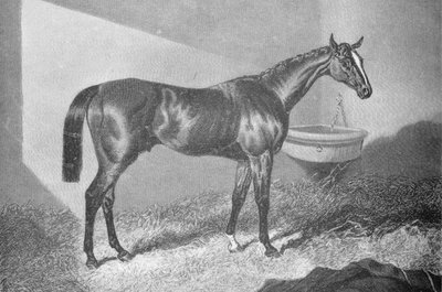 Sir Tatton Sykes, 1842-1860, 1911 by Unbekannt