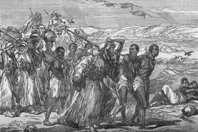 Slave Gang Crossing The African Desert, c1881-85 by Unbekannt