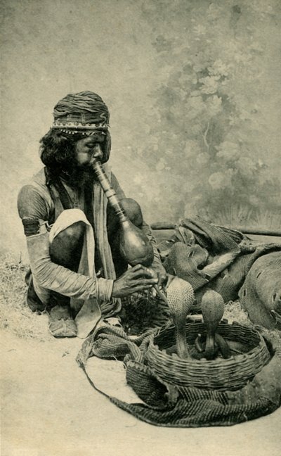 Snake Charmer by Unbekannt