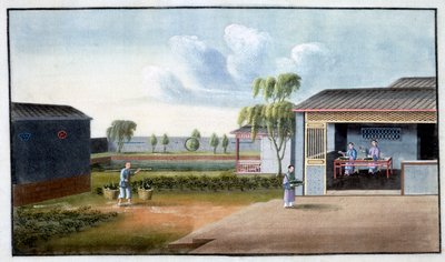 Sorting Tea, 19th Century by Unbekannt