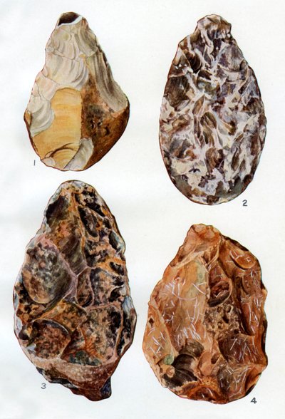 Specimens of patination in Britain, 1926 by Unbekannt