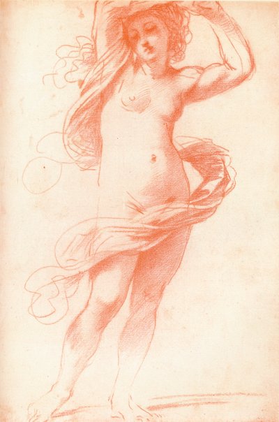Standing Female Nude by Unbekannt