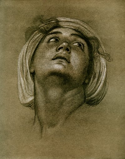 Study of a head by Unbekannt
