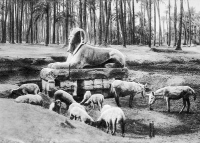 The Alabaster Sphinx, Cairo, Egypt, c1920s by Unbekannt