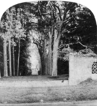 The Avenue, Guys Cliff, Warwick by Unbekannt