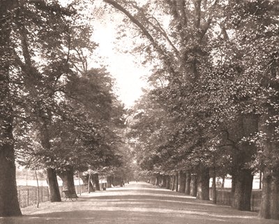 The Broad Walk, Oxford by Unbekannt