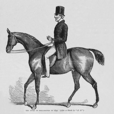 The Duke of Wellington by Unbekannt