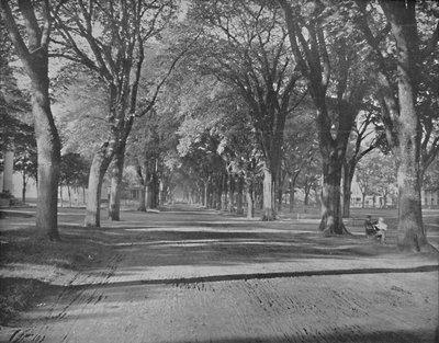 The Elms, New Haven, Conn. by Unbekannt