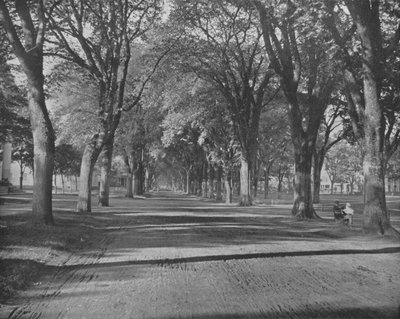 The Elms, New Haven, Connecticut, USA by Unbekannt