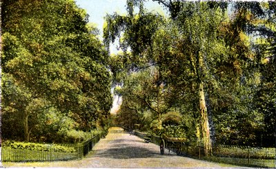 The Flower Walk, Kensington Gardens, London, 20th Century by Unbekannt