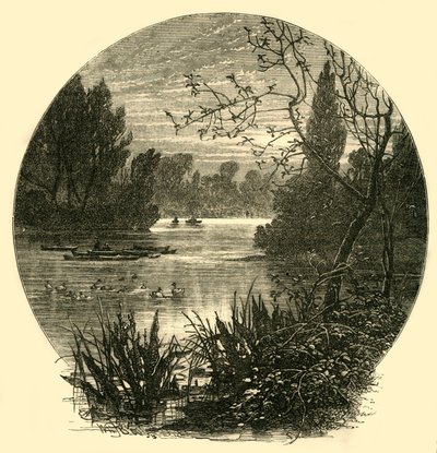 The Lake, Battersea Park by Unbekannt