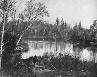 The Peshtigo River, Wisconsin, USA, c1900 by Unbekannt