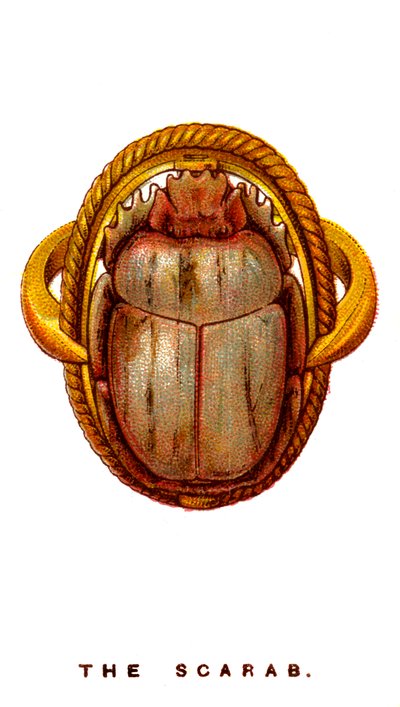 The Scarab by Unbekannt