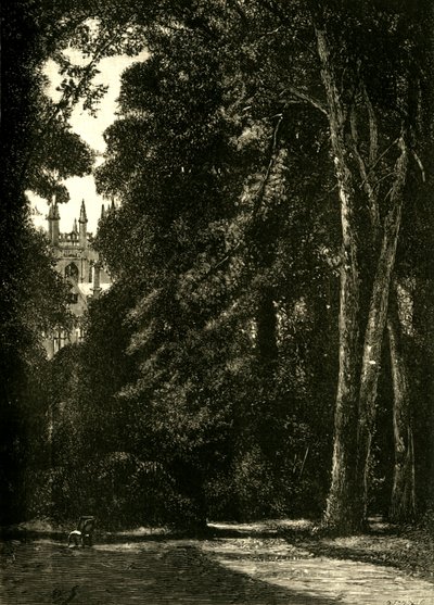 The Tower of Merton, from the Garden, 1898 by Unbekannt