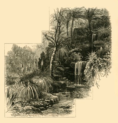 The Tropical Gardens, Battersea Park, c1878 by Unbekannt