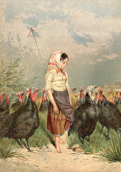 The Turkey Guardian, 1858 by Unbekannt