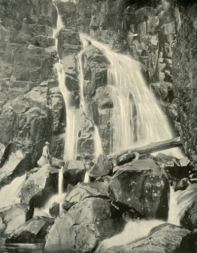 The Wellington Falls, Mount Wellington by Unbekannt