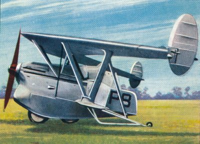 The Westland-Hill Pterodactyl, 1938 by Unbekannt