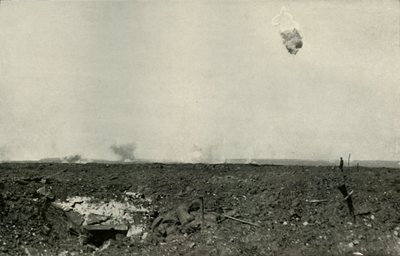 The Woolly Bear, 1919 by Unbekannt