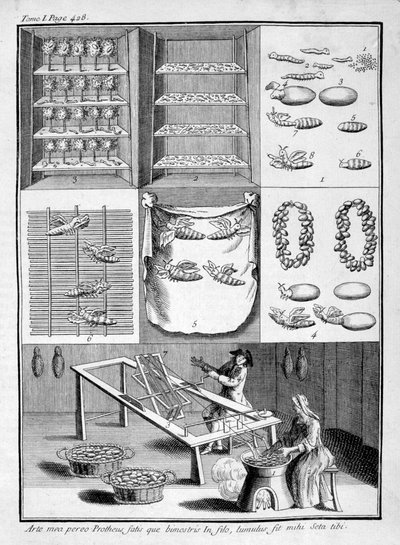 The Breeding of Silk Worms, 1775 by Unbekannt