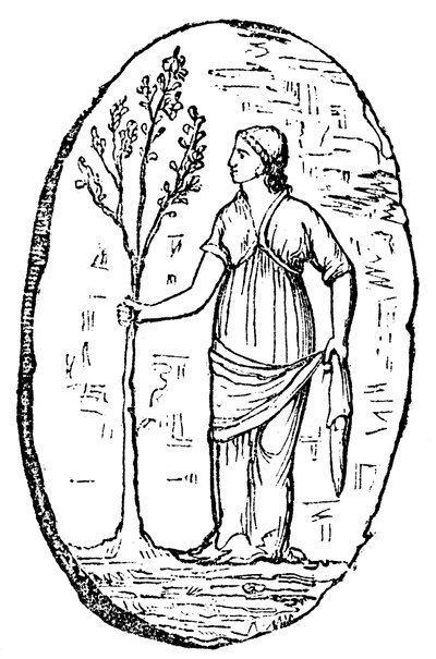 The goddess Minerva holding a young olive tree by Unbekannt