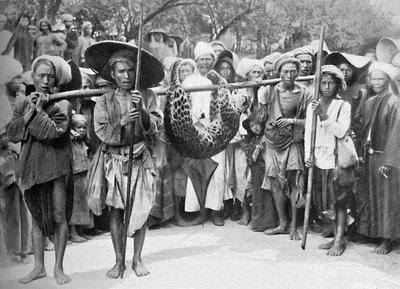 The Spoils of the Jungle, 1902 by Unbekannt