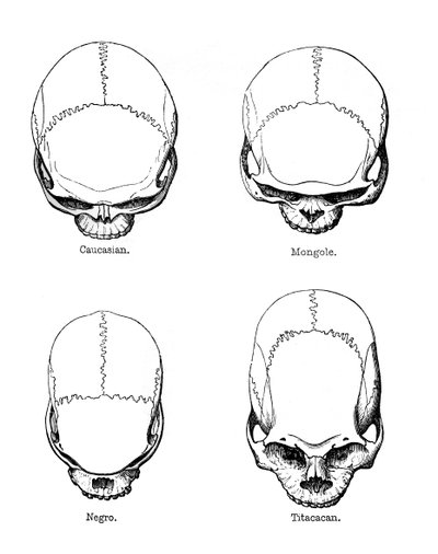 The Vertical Configuration of the Skull by Unbekannt