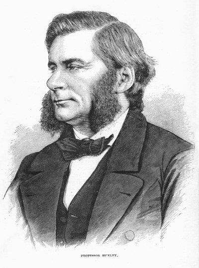 Thomas Henry Huxley, British biologist, c1860s by Unbekannt