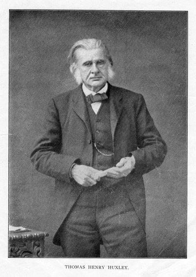 Thomas Henry Huxley, British Biologist by Unbekannt