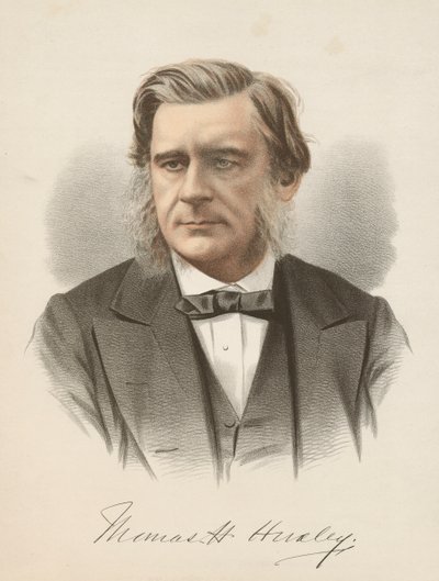 Thomas Henry Huxley, English biologist by Unbekannt