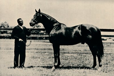 Thoroughbred racehorse, Man O War by Unbekannt