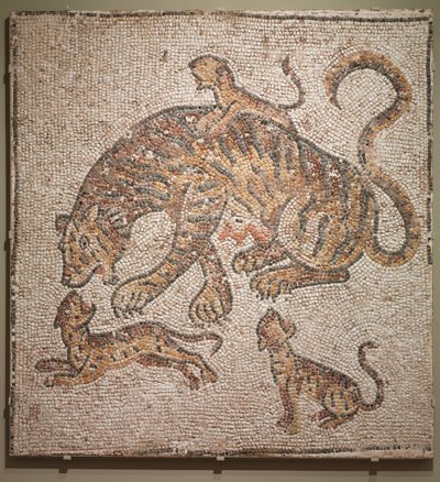 Tigress and Cubs, 300s by Unbekannt