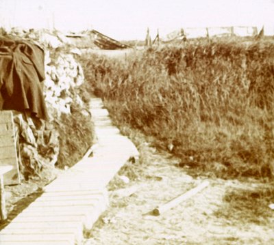 Trenches, Ramskapelle, Belgium, c1914-c1918 by Unbekannt