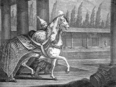 Turkish Sultan