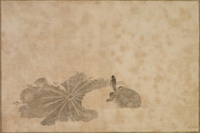 Turtle in a Lotus Pond by Unbekannt