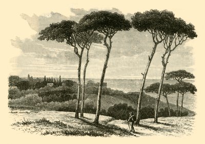 Tusculum, 1890 by Unbekannt
