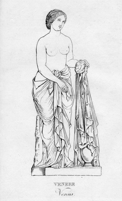 Venus by Unbekannt