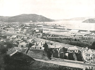 View from Maitland Street, Dunedin, New Zealand by Unbekannt