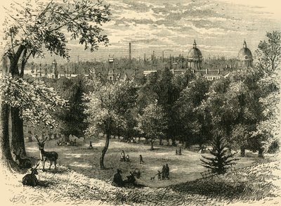 View in Greenwich Park by Unbekannt