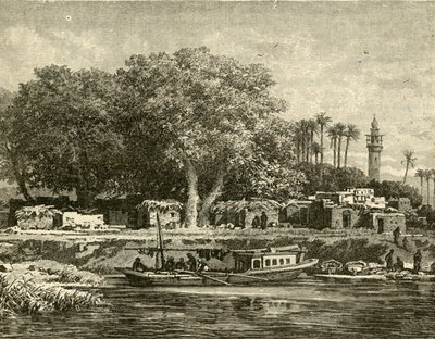 View on the Delta of the Nile, 1890 by Unbekannt