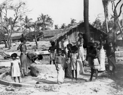 Village scene, Trincomalee, Ceylon by Unbekannt