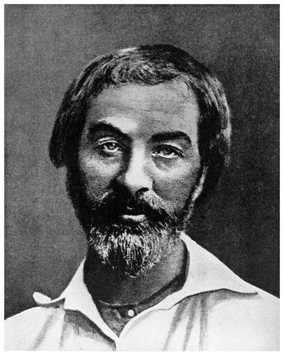 Walt Whitman, American poet, 19th century by Unbekannt