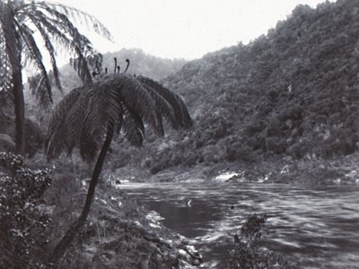 Wanganui River, Late 19th-Early 20th Century by Unbekannt