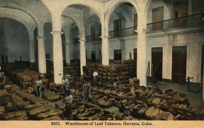 Warehouse of Leaf Tobacco, Havana, Cuba, c1910 by Unbekannt