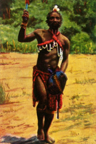 Warrior, South Africa, c1928 by Unbekannt