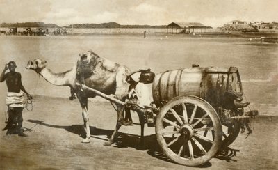 Water Cart, Aden by Unbekannt