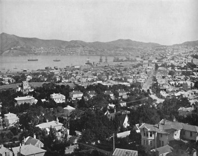Wellington, 19th century by Unbekannt
