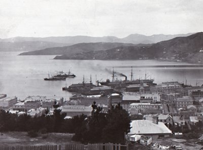 Wellington Harbour, late 19th-early 20th century by Unbekannt